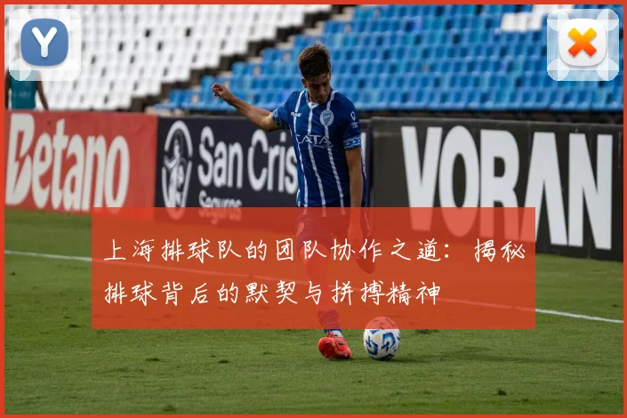 上海排球队的团队协作之道：揭秘排球背后的默契与拼搏精神