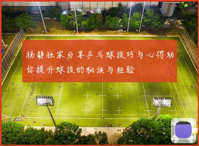 杨静独家分享乒乓球技巧与心得助你提升球技的秘诀与经验